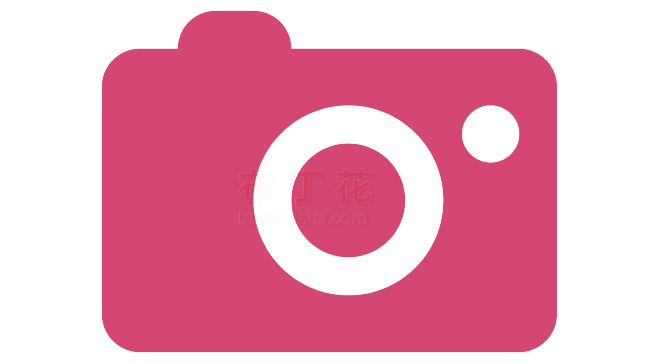 粉色高雅数码相机png元素下载大全